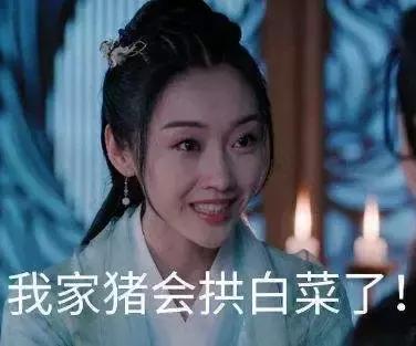 看完笑岔气，今年夏天国产最佳