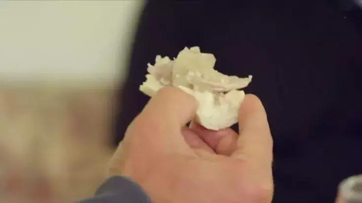 隐居深山30年以种地为生,隐居深山生活养动物