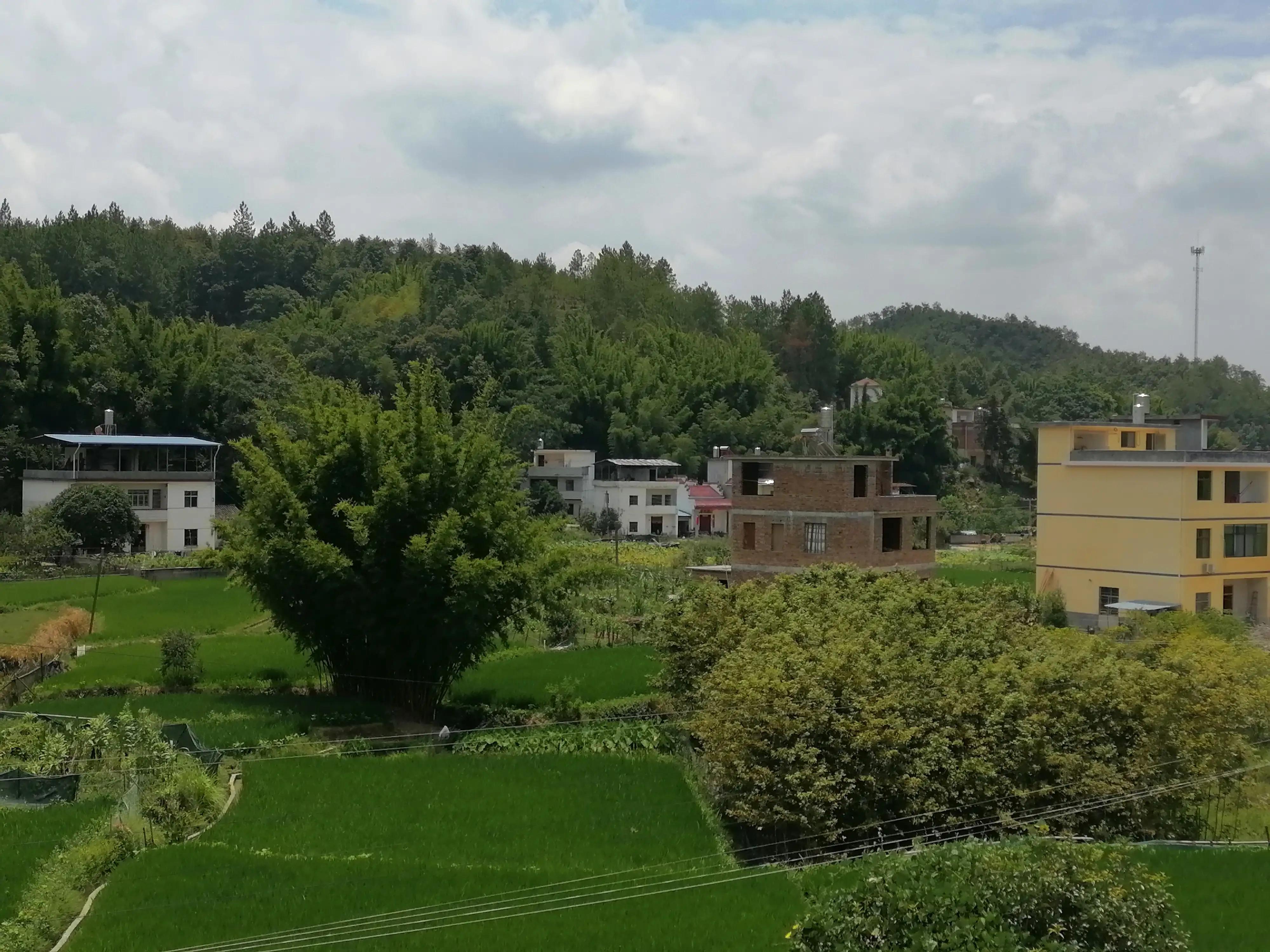 小小说猜测,小小说百科