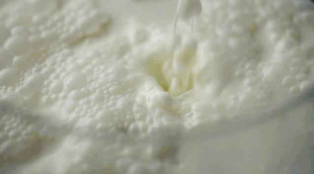 中国人适合喝的奶,哪个牌子的牛奶才是真正的纯牛奶