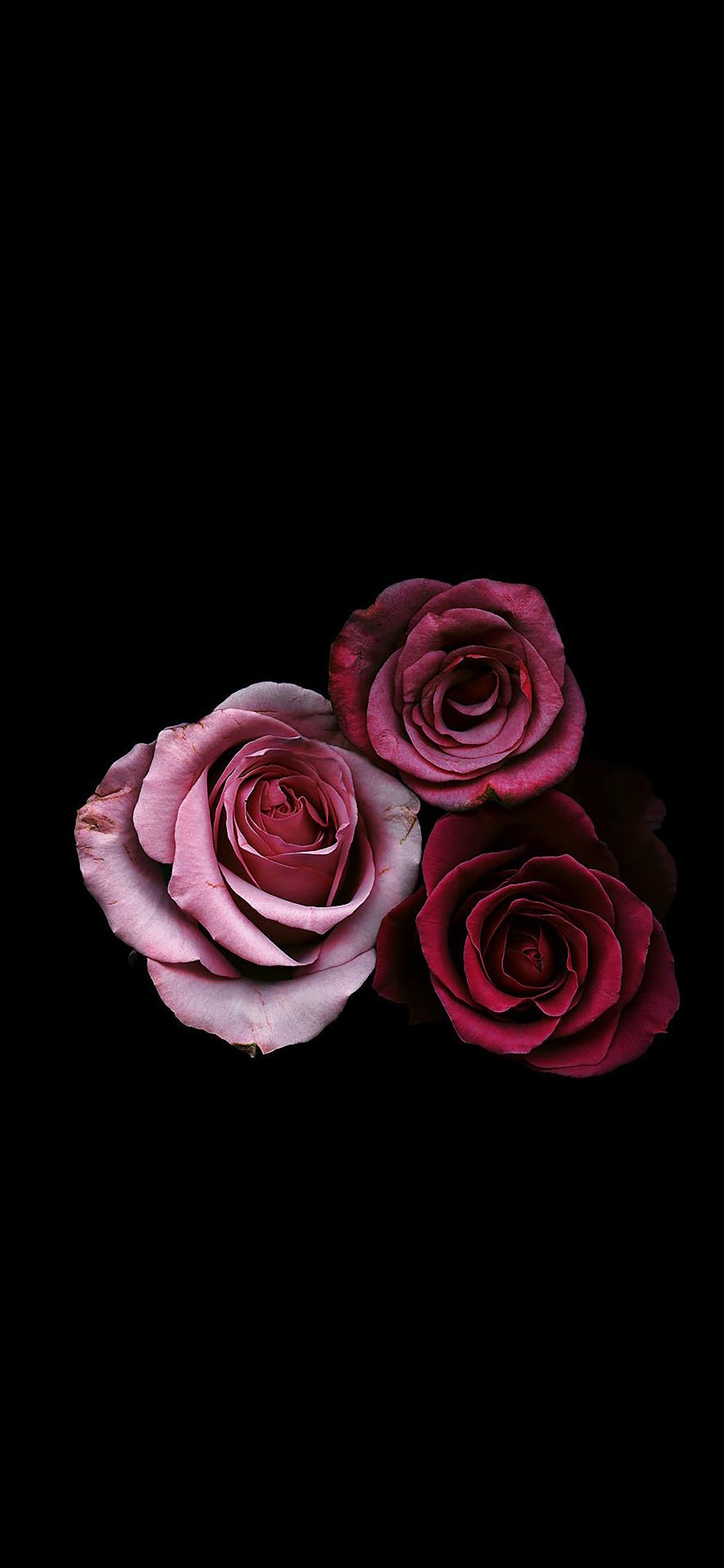 积极向上的黑色系壁纸,壁纸黑色系我该努力了