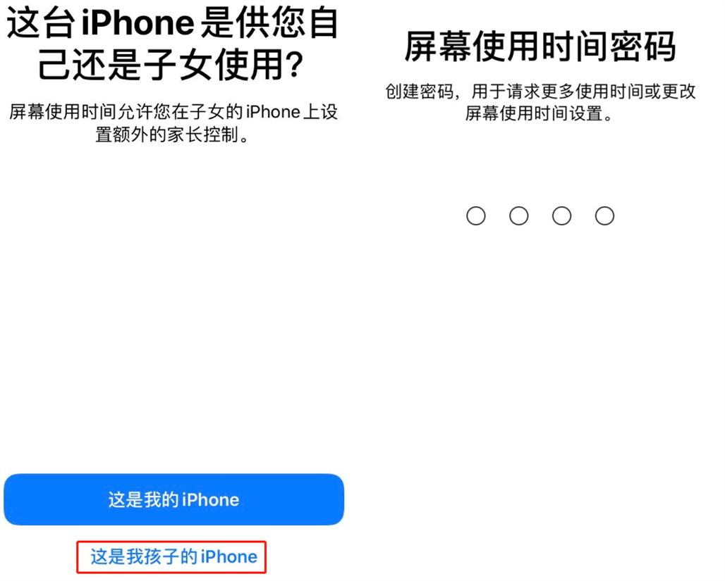 iphone给应用文件夹加密,给iphone加密