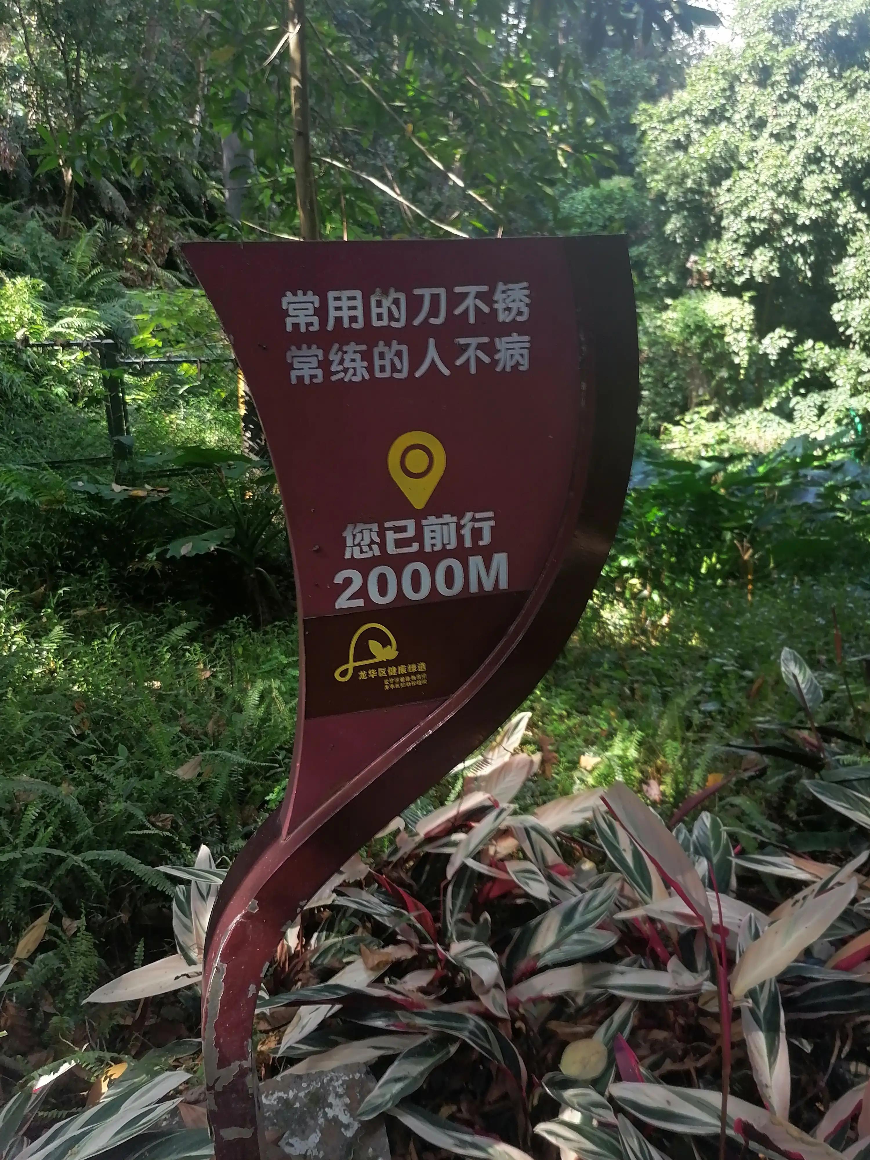 深圳龙华绿道风景区,深圳大浪绿道全景图