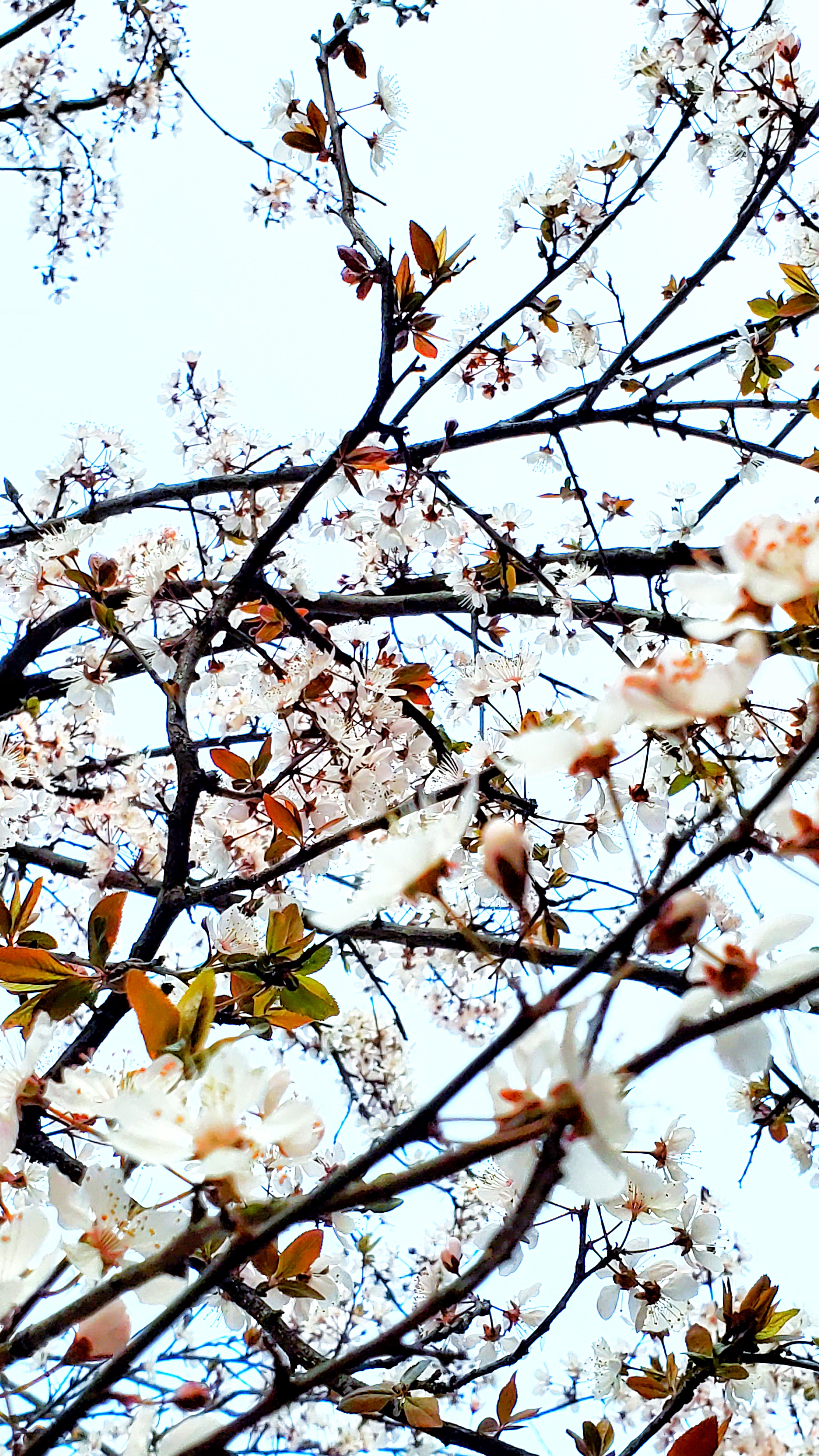 和春住。带着小神兽去踏青