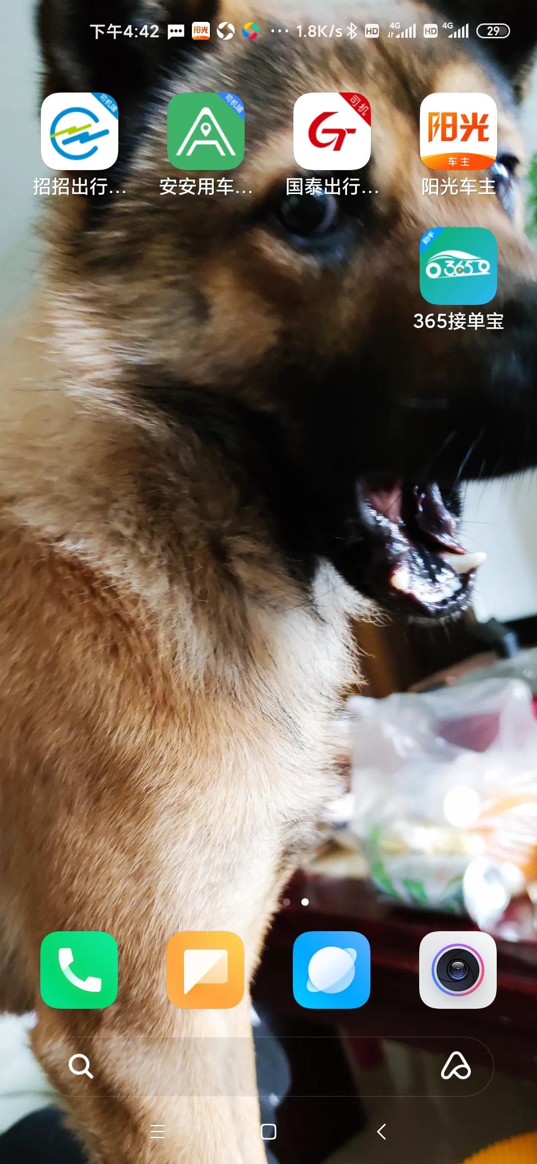 狗子能听懂人话不,狗子能听懂人话合集