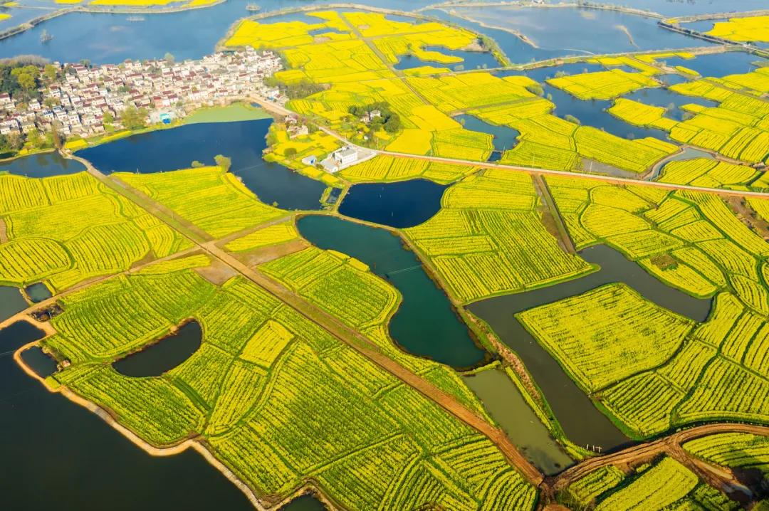 安徽春天美丽的视频,安徽美丽的春天