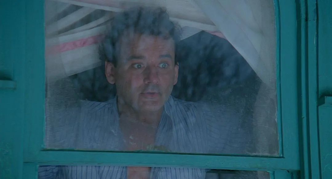 电影土拨鼠之日影评,土拨鼠日原版视频