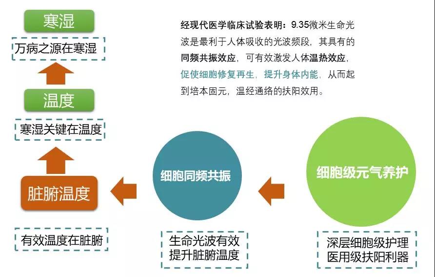 在这里晒太阳就省医疗费,大多数的人都不知道!等你来体验哦