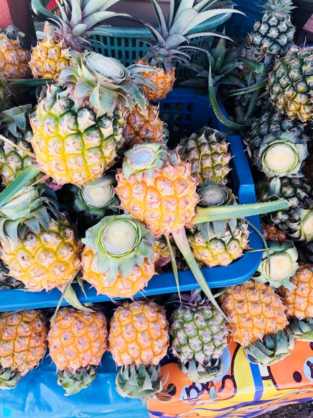 泰国清迈游玩攻略视频,泰国清迈四日旅游攻略