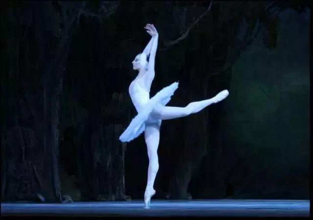 最美芭蕾舞天鹅湖,最美天鹅湖舞蹈