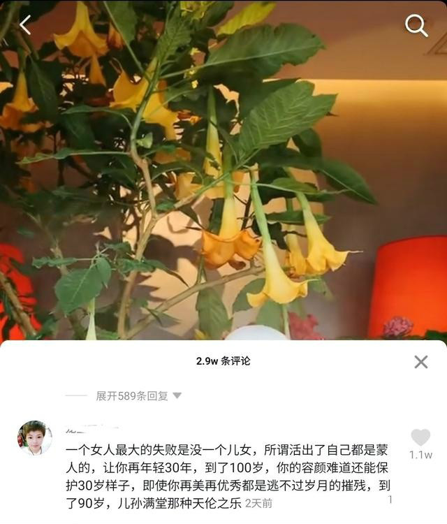 杨丽萍、陈数等女星热议：女性是不是用来生育的工具