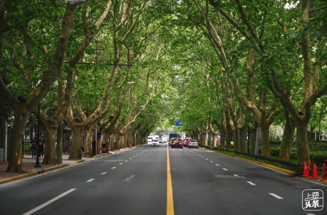 上海必逛的十条马路,上海比较有名的小马路