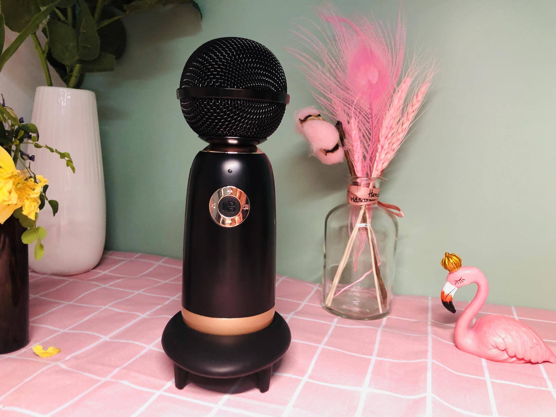 家用k歌麦克风李佳琦,李佳琦直播唱吧麦克风