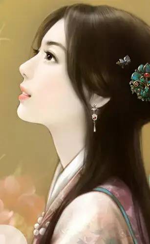 后宫小说5本,全书251万字的后宫文小说名字