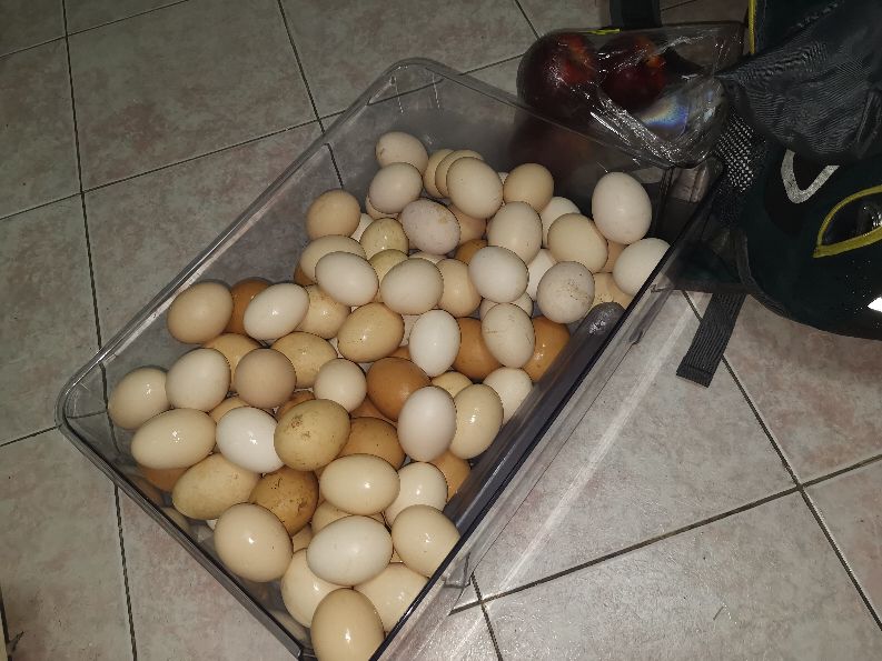 龙岩永福古溪村,福建省永福镇古溪村