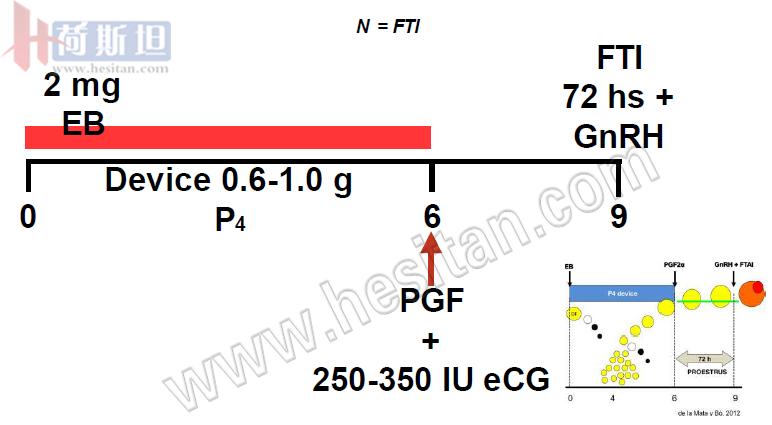 繁育母牛一年的利润,母牛如何做到一年一个犊