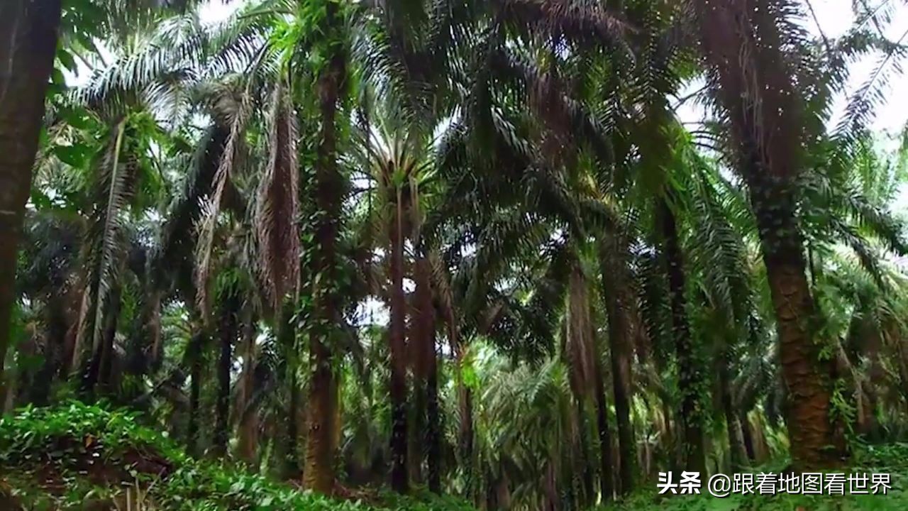 哥斯达黎加为什么敢独立,哥斯达黎加没有军队不会被侵略吗