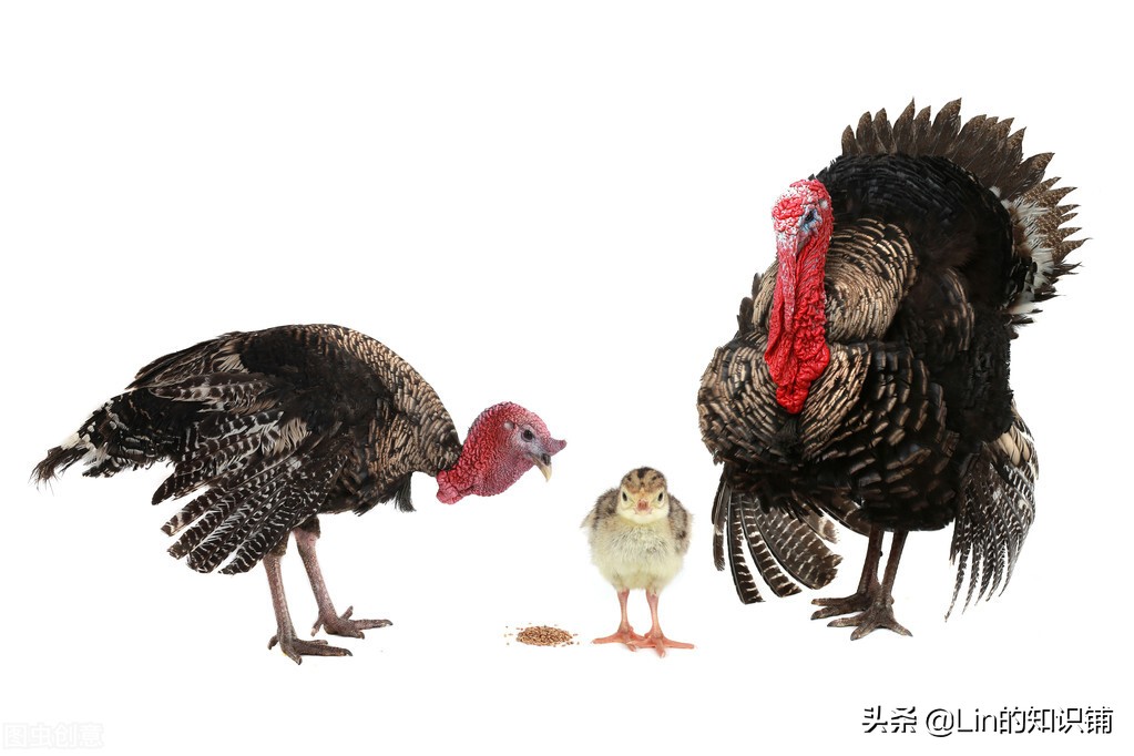 12条冷知识：在生活中你不一定会用到，但可以当作交谈时的话题