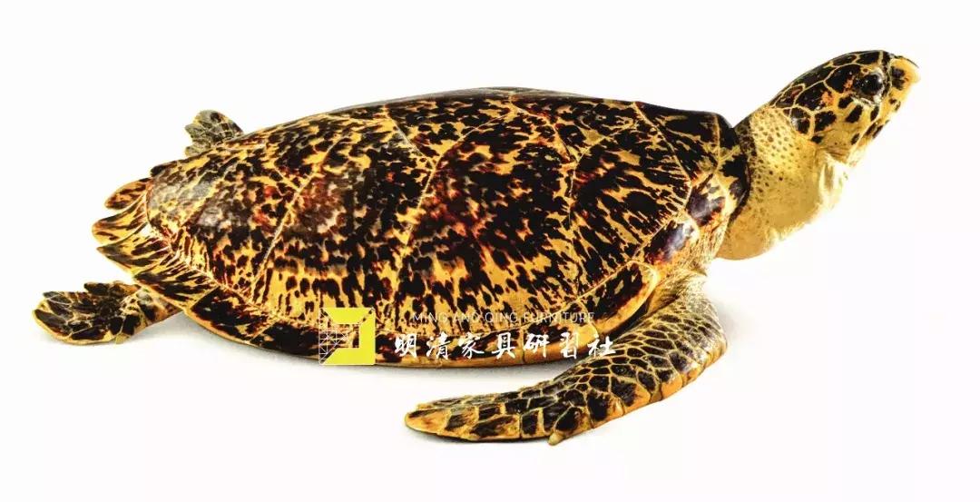 螺钿工艺古家具,螺钿工艺在清代家具中的装饰艺术