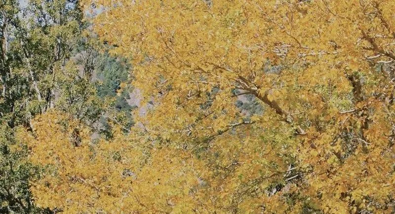 四川木格措旅游自驾游攻略2天,成都自驾到木格措旅游攻略