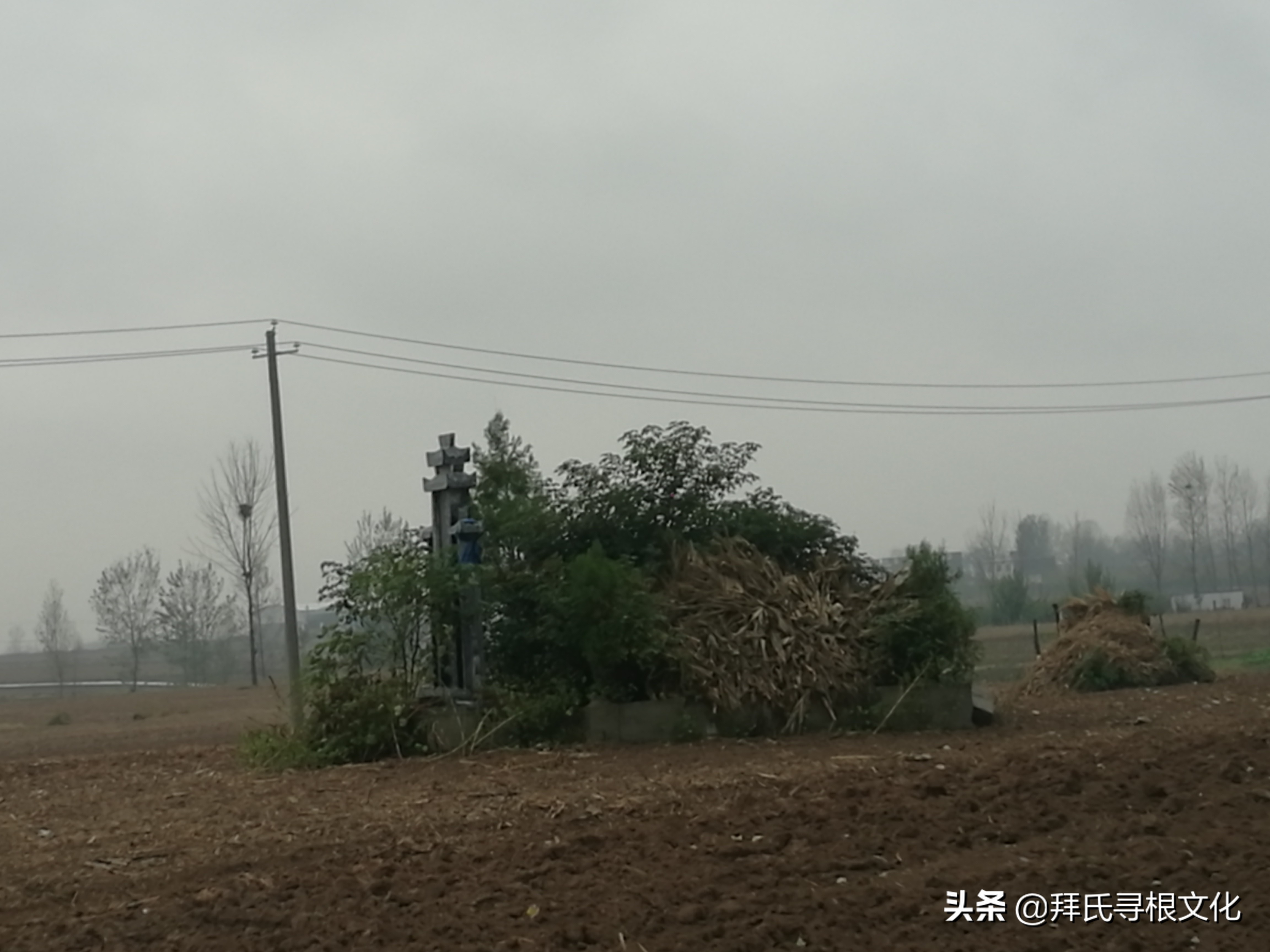 风雨泰和“转楼”