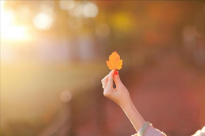 天清气爽却道天凉好个秋图片,天晴好个天