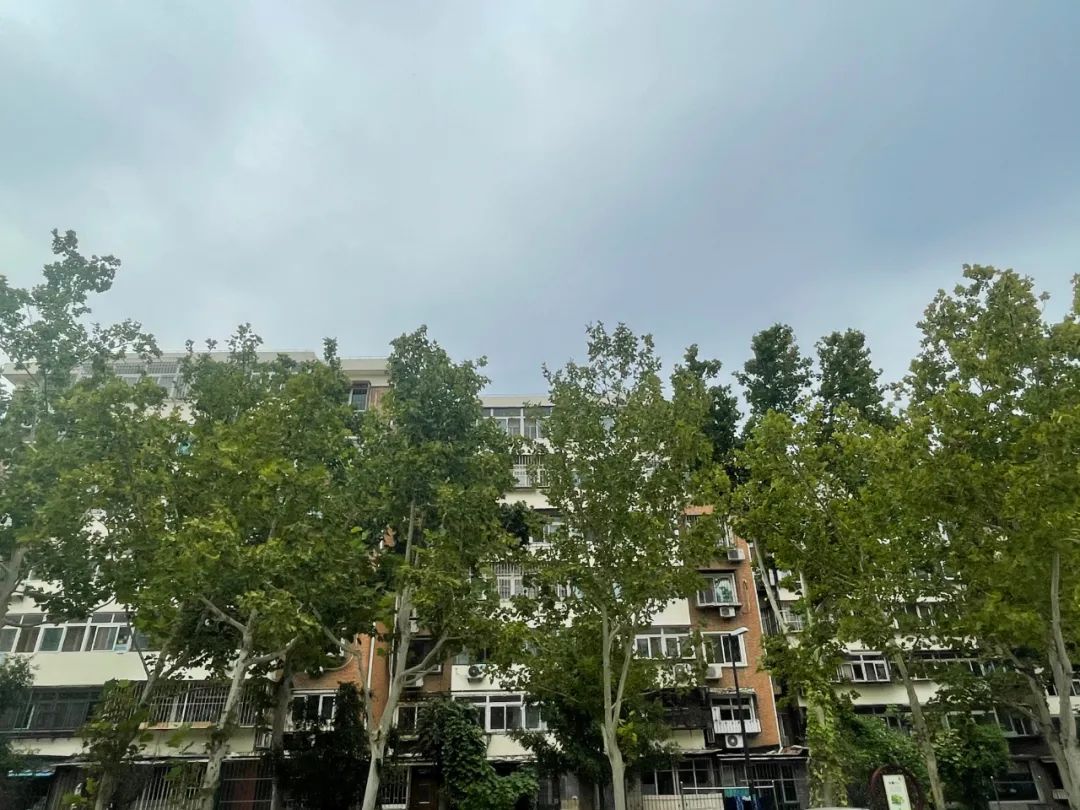 和平区发大招，学区房怎么走？南开区22年老楼现状如何？