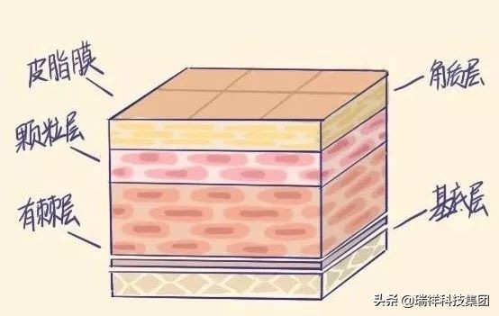 夏天洗澡搓出来的泥是脏东西吗,冬天洗澡搓灰好还是不搓灰好