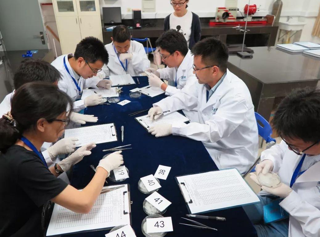 上海改名最失败的211大学,上海211改名的学校