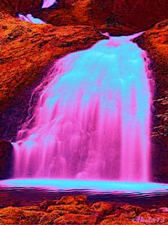 海边水中玫瑰花图片高清大图,最美山水花草倒影图片