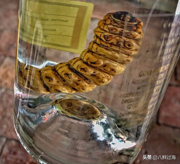 墨西哥国酒龙舌兰酒的制作过程,龙舌兰酒墨西哥国酒多少度