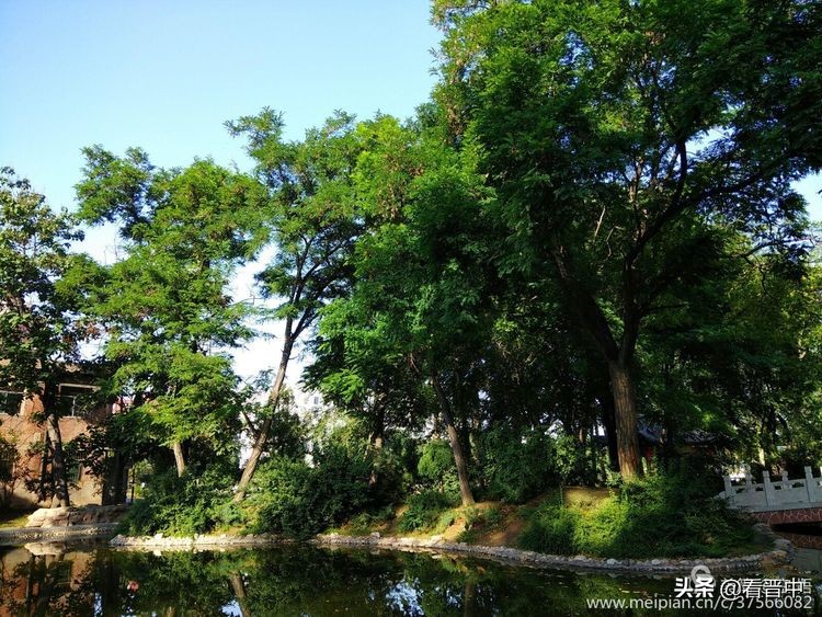 山西农大美丽的校园,山西农大校园风光