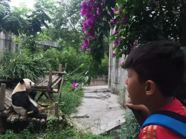 厉害了！这几个小学生竟然花了5天时间在森林里造了一个......