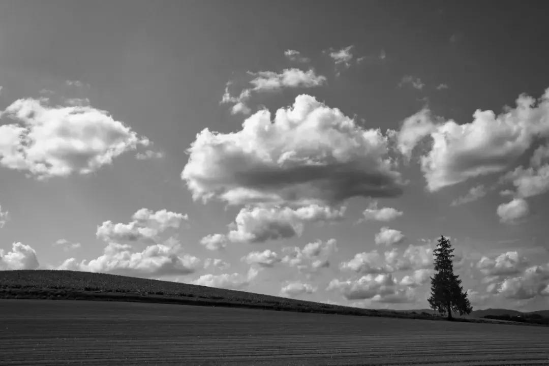 周末人像摄影作品欣赏,周末摄影作品欣赏大全