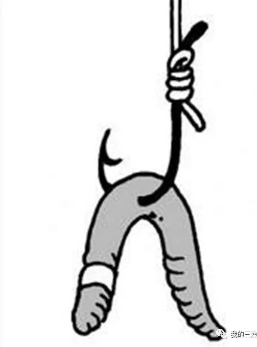 钓黄辣丁怎么挂蚯蚓,串钩挂蚯蚓钓鱼技巧