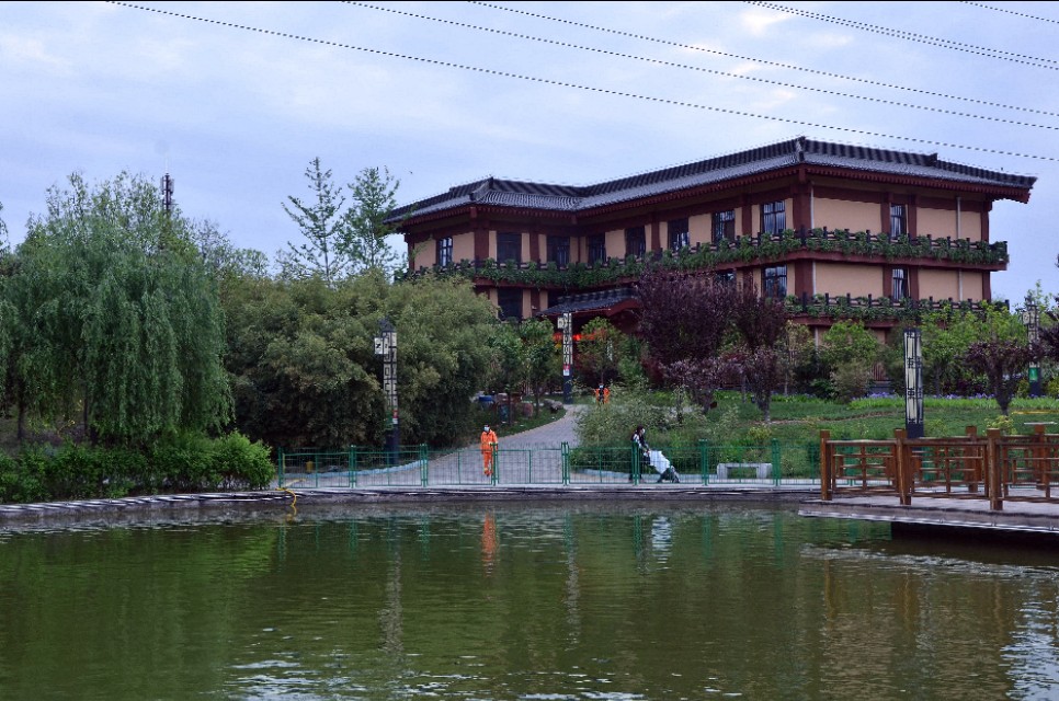 如果你路过西郊，有幽香沁入心脾，那定是从红光公园飘来的槐花香