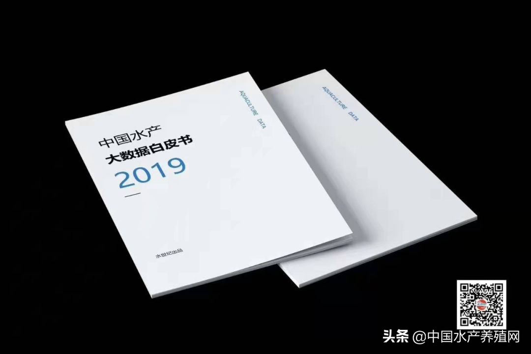 他从水产门外汉到物联网综合服务商,只因热爱水产深耕行业30年——揭秘水产大数据白皮书的前因后果