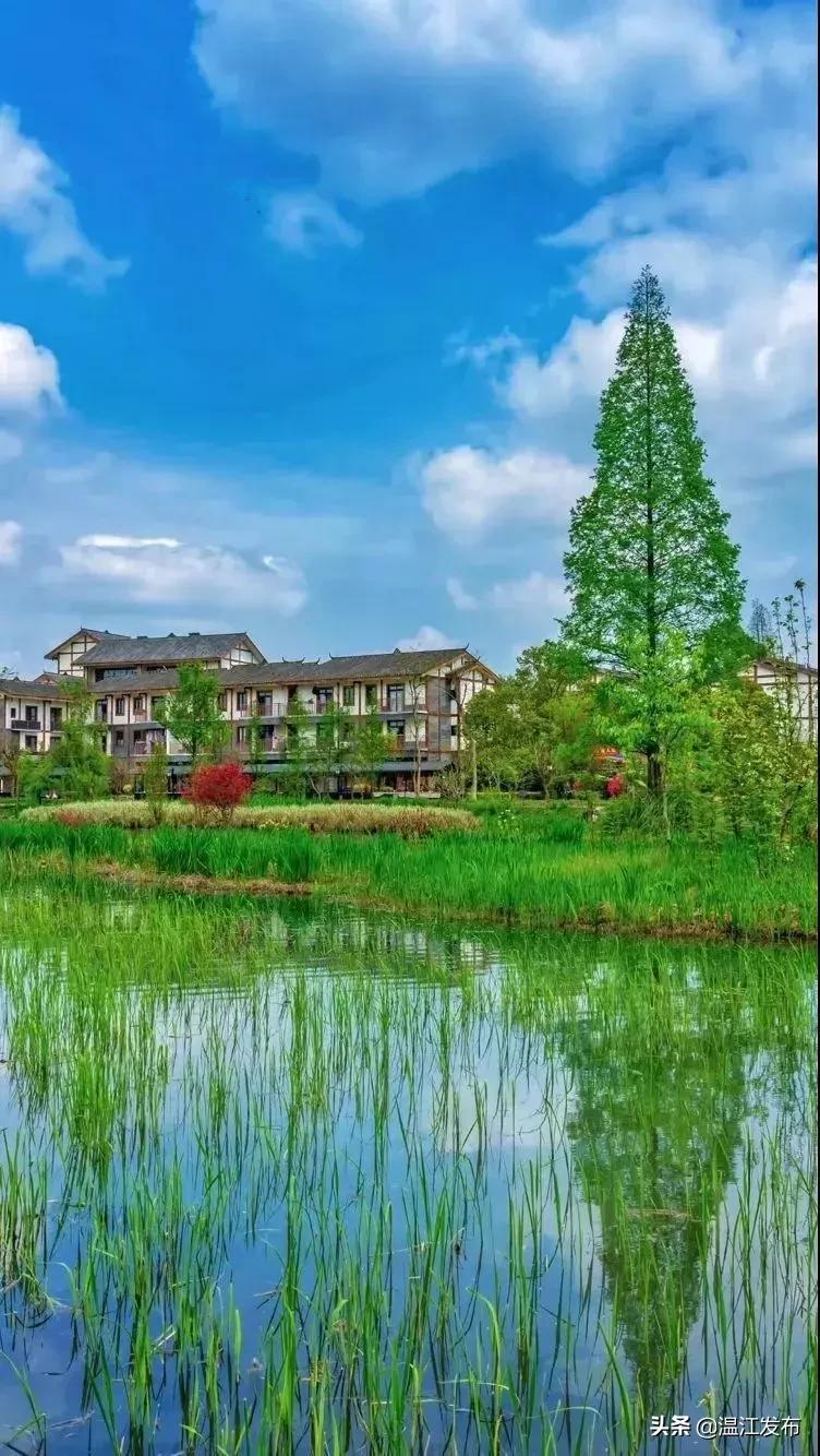 金温江国际水球赛开赛在即，点击领取门票！