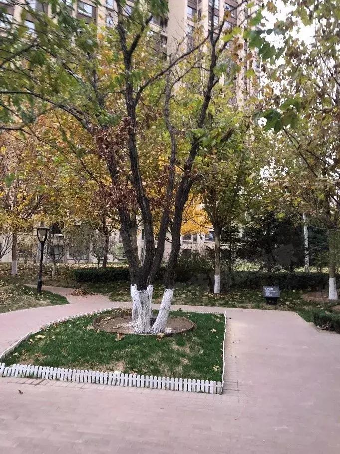 刚需神盘天宫院,武汉天宫院商圈