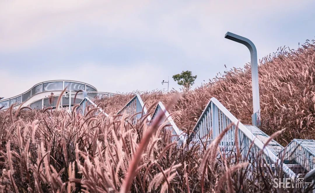 白石龙村，深圳“小延安”