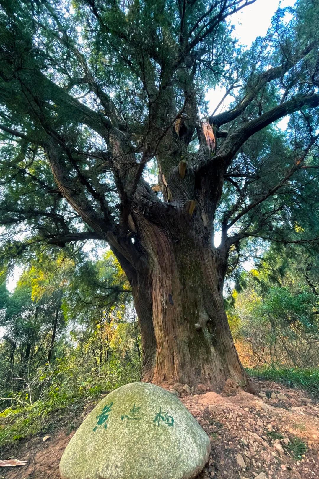 秦始皇张飞,秦始皇冬游