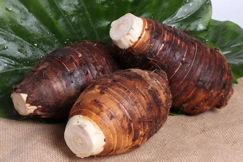 当丰收节遇上中秋节,当中秋节遇上教师节美食