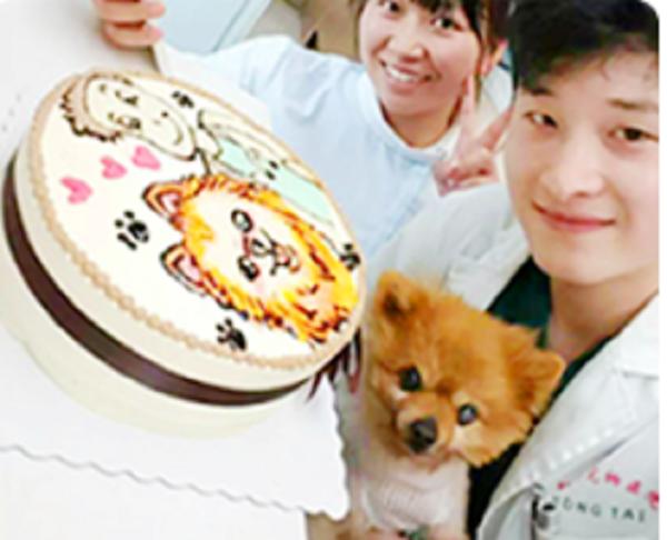 杭州哪家宠物医院动手术最有名,杭州治犬瘟哪家宠物医院好