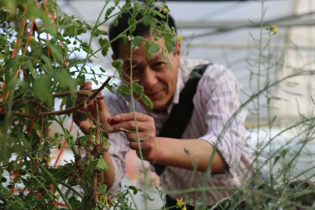 汉川5天周边游攻略,汉川徒步旅游攻略一日游