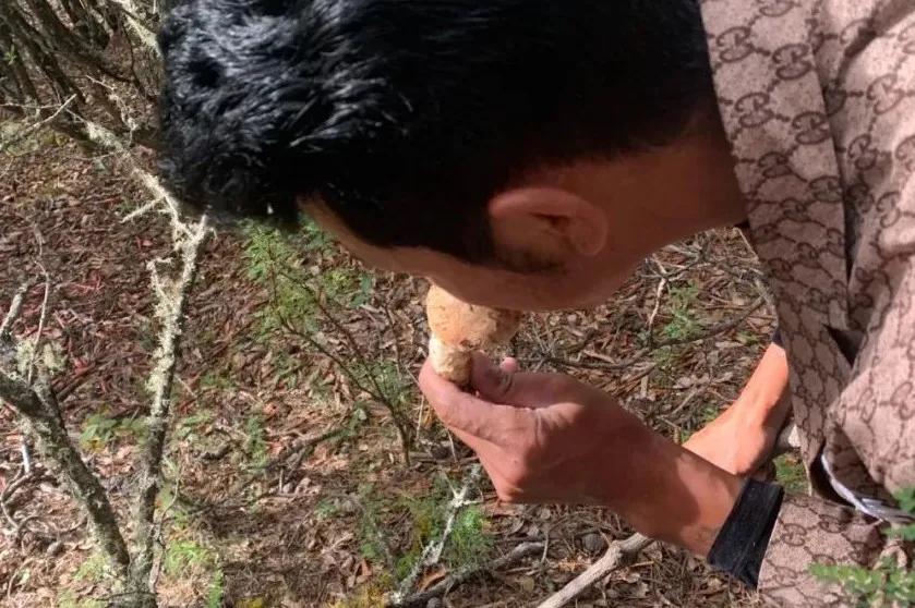 香格里拉有什么不能冒犯,香格里拉为什么神秘