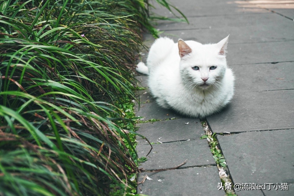 成都最大的欢乐谷,成都欢乐谷晚上门票多少钱