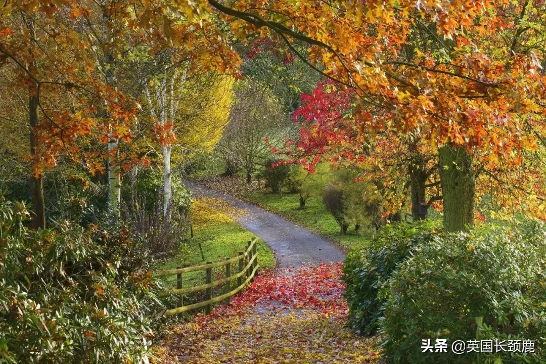 英国秋天好去处,英国秋天旅游必去的地方