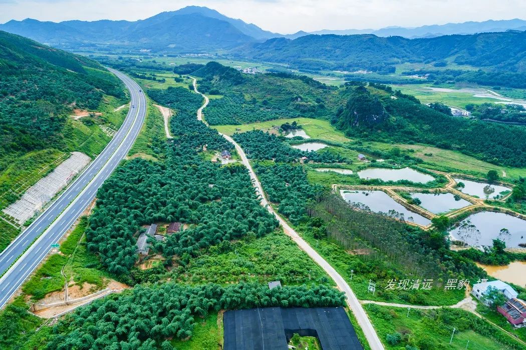 正宗古法烧窑鸡,这里的烧窑鸡口味也是相当的地道