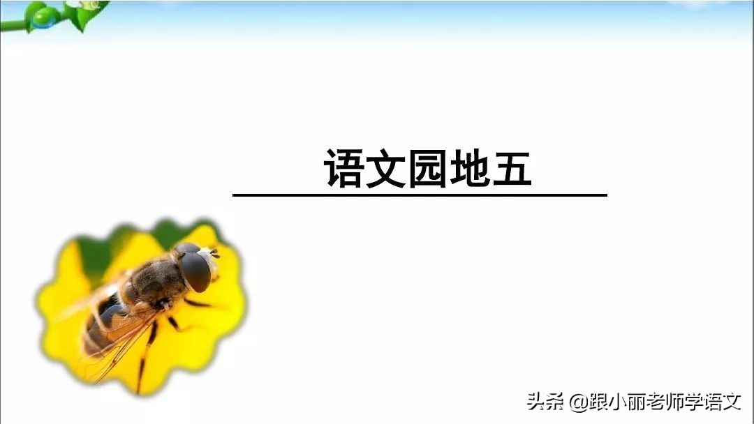部编版二年级语文园地五图文解析,二年级部编上册语文园地五重难点