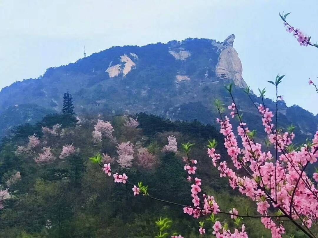 米酒赠勇士，福泽众乡亲——湖北麻城老米酒之乡抗疫探访录